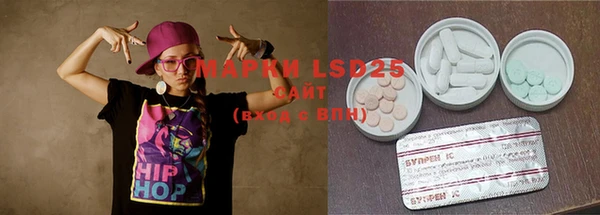 apvp Алзамай