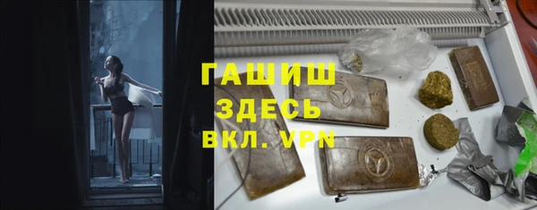 apvp Алзамай