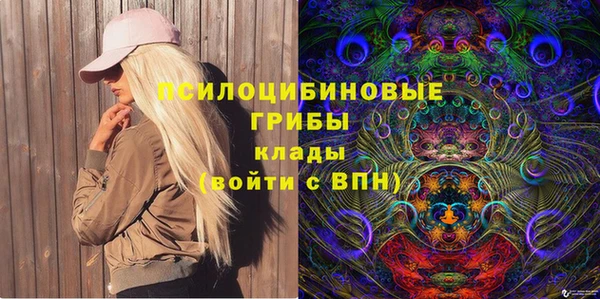 apvp Алзамай