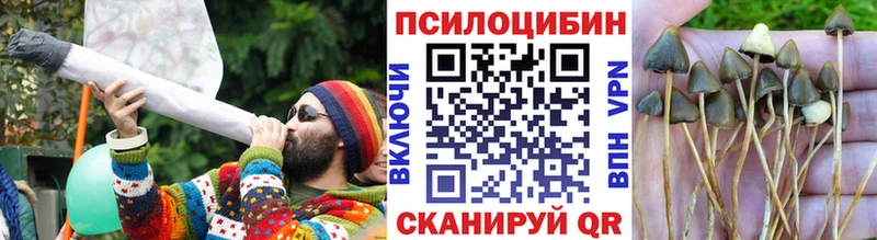 Псилоцибиновые грибы мухоморы  Дегтярск 